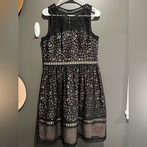 Eliza J Lace Fit And Flare Sleeveless Dress Size 12